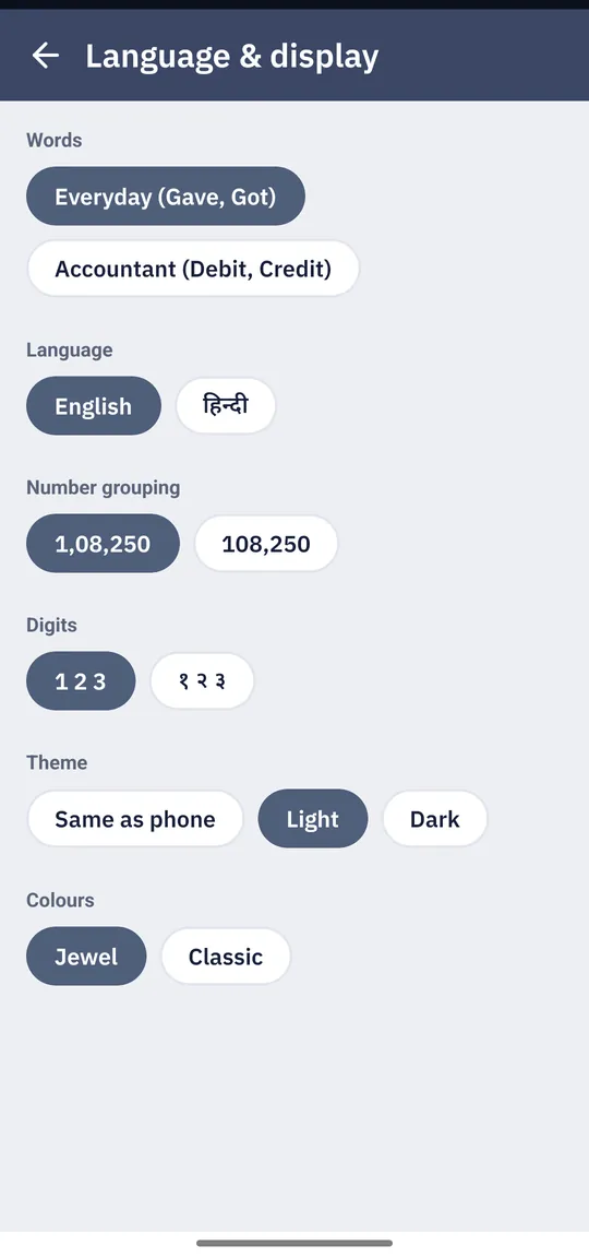 Language and display settings: Everyday or Accountant words, English or Hindi, digit grouping, theme and colours